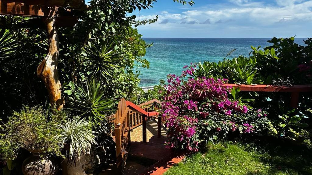 Blue Raven Resort 安达 外观 照片